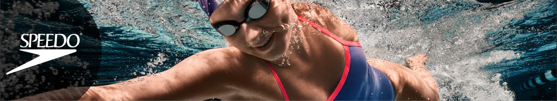 Speedo Desktop