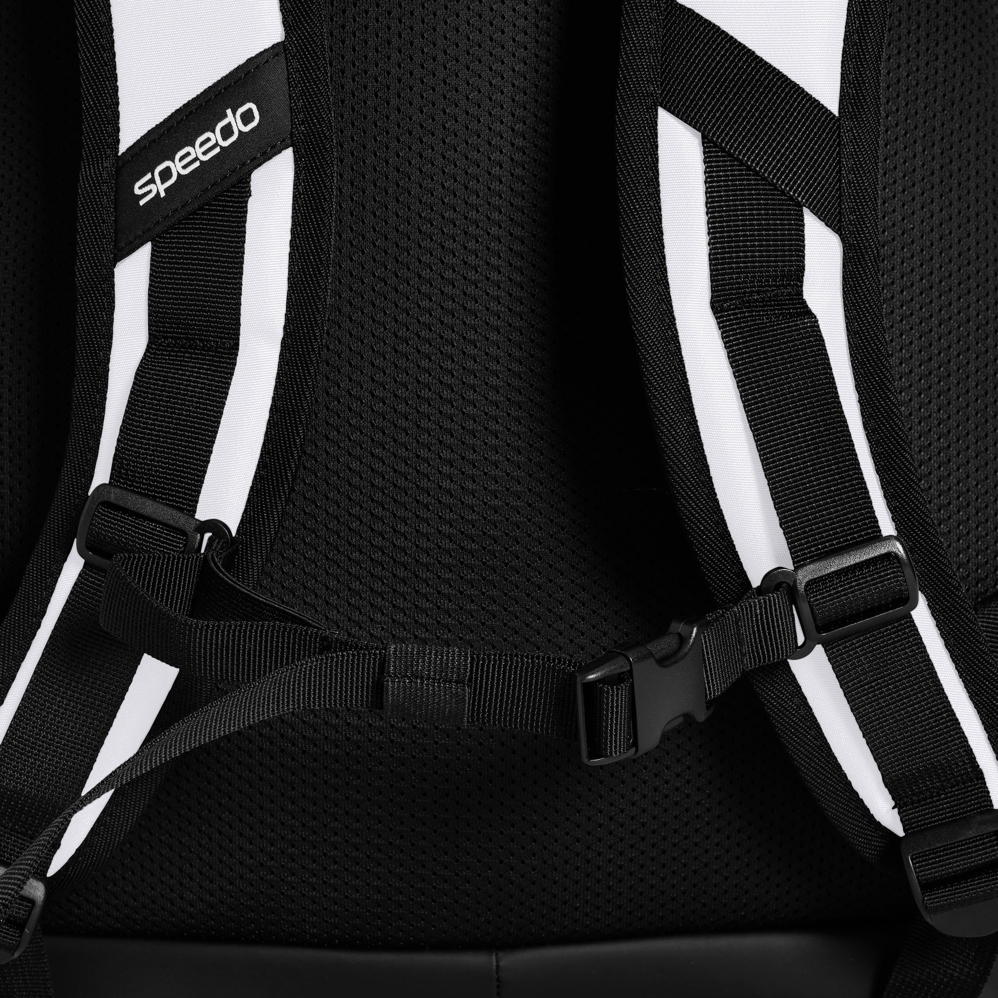 Speedo Backpack Team Rucksack 35L – Solid Colours