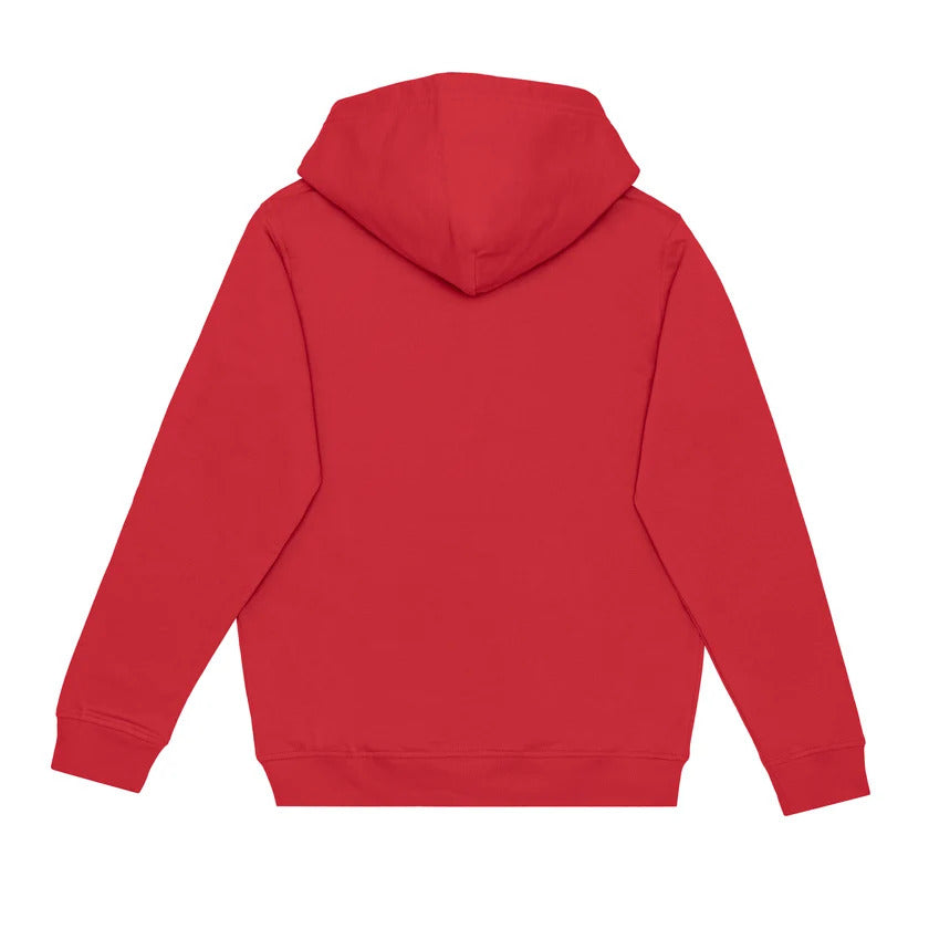 NBT Pullover Hoodie