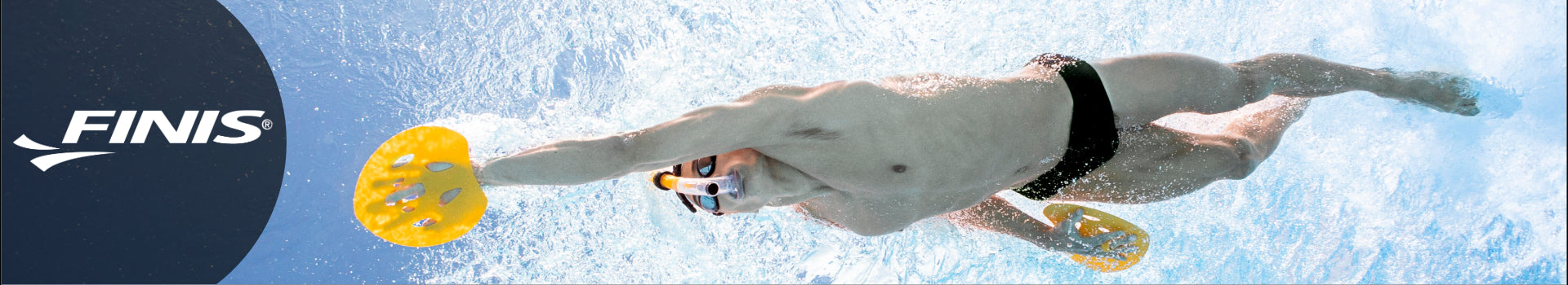 Finis Desktop